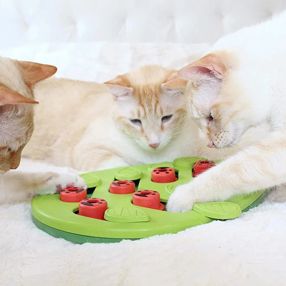 Rainy Day Interactive Cat Puzzle & Treat Toy