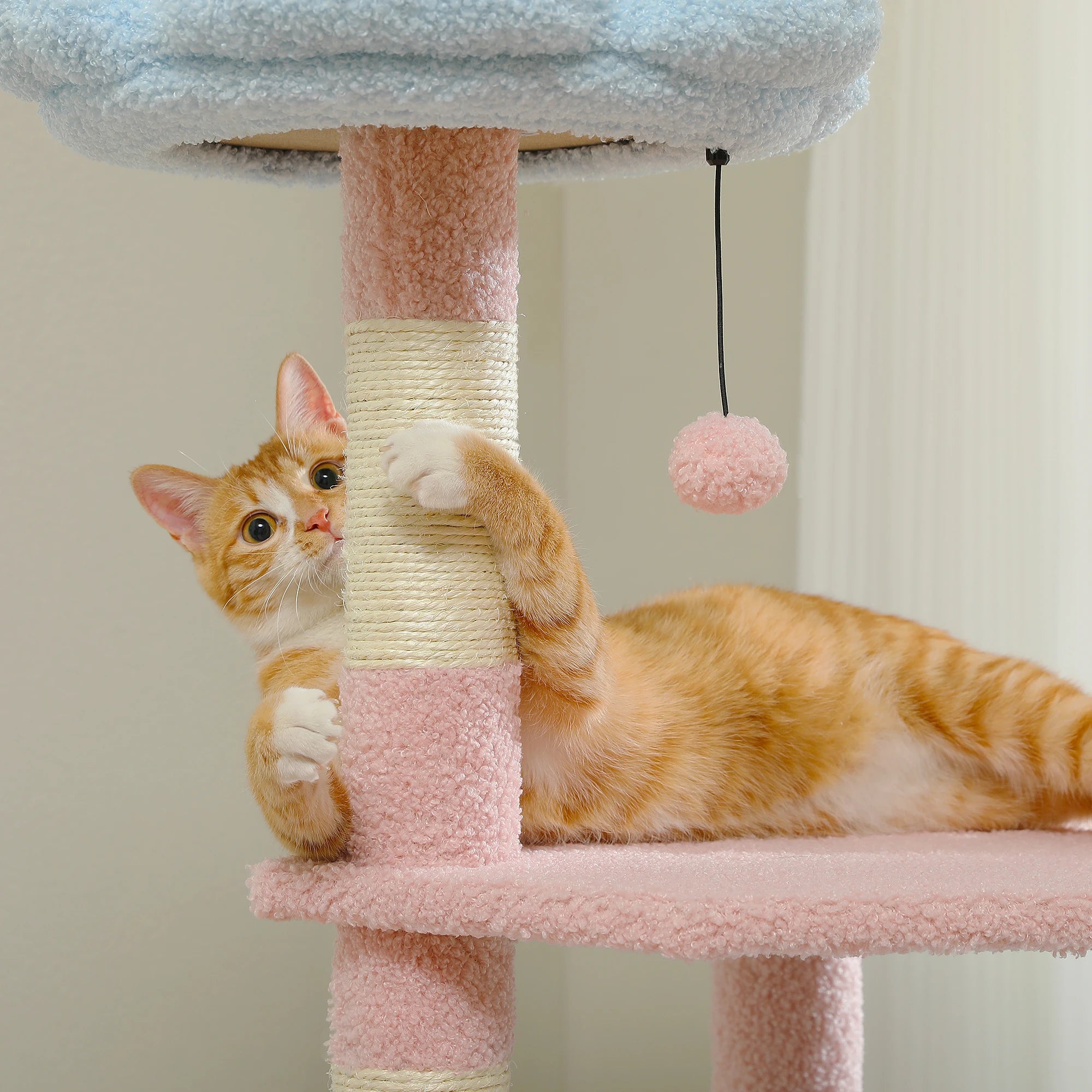 Flower Cat Tree with Condo & Top Perch