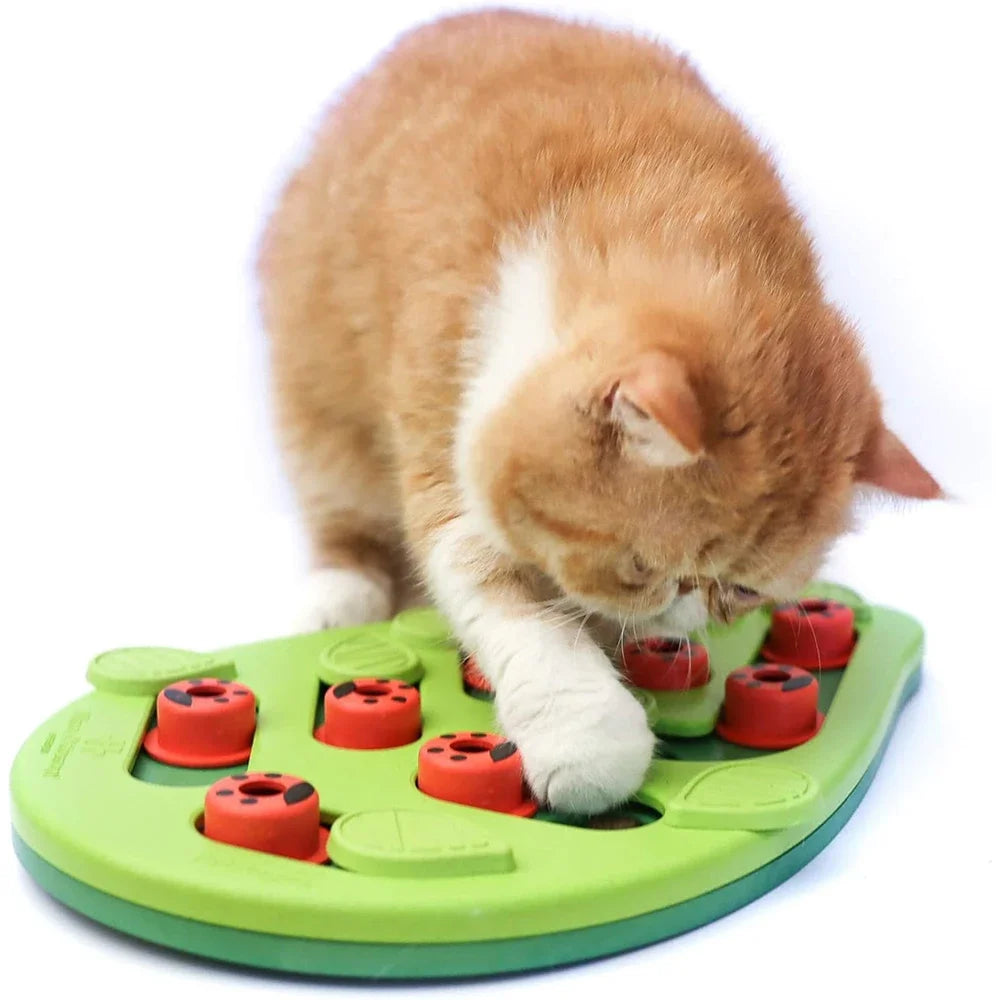 Rainy Day Interactive Cat Puzzle & Treat Toy