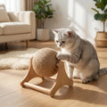 Interactive Cat Scratching Wheel Toy